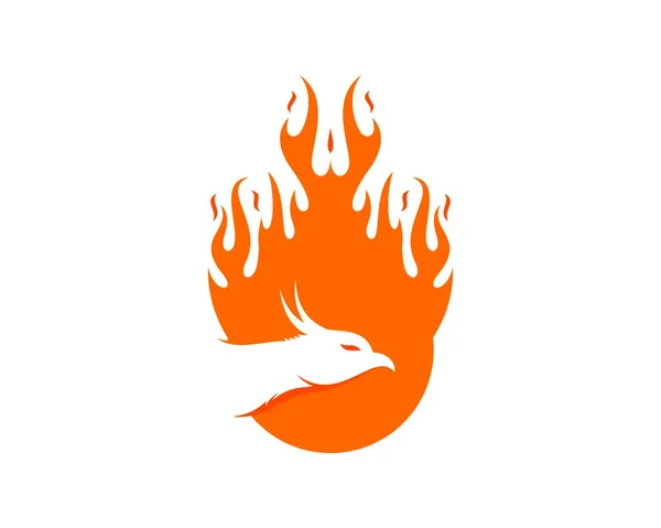 Bola Fuego Naranja Con Fénix Cabeza — Archivo Imágenes Vectoriales