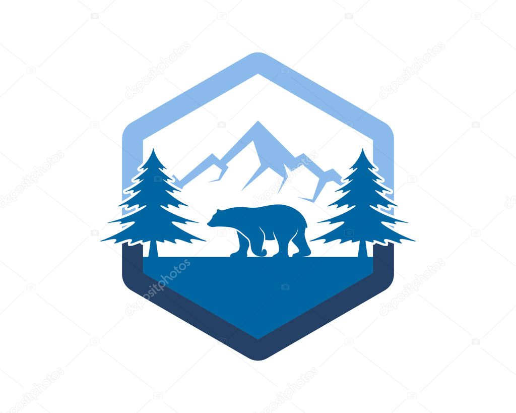 Walking bear in the forest mountain
