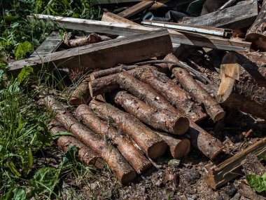 Çam günlükleri ve kurulları ocaklar ve şömine ateş yakacak odun güneşli bir yaz aylarında çim üzerinde yalan