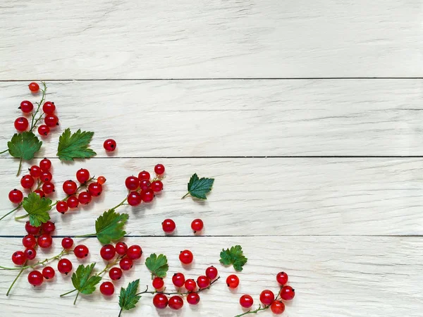 Fresh large red currant berries with green leaves lie on a plank background removed from above close-up