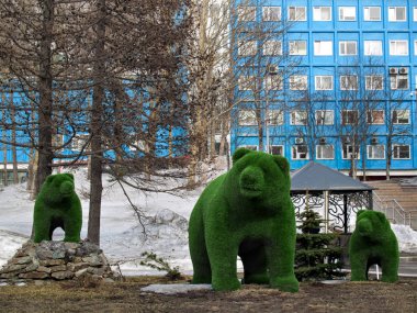 Landscaping in the form of bears in the central square of Petropavlovsk-Kamchatsky in winter in sunny weather clipart