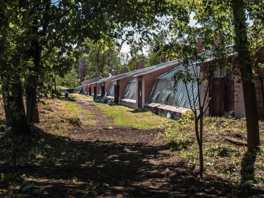 Eski seralara büyük cam yüzeyler ve tuğla duvarlar yılları selo St Petersburg bahar güneşli havalarda Alexander parkta bir kompleks