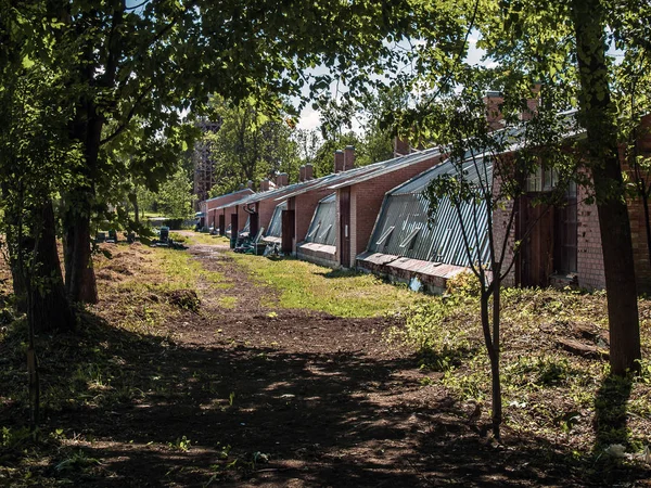 Eski seralara büyük cam yüzeyler ve tuğla duvarlar yılları selo St Petersburg bahar güneşli havalarda Alexander parkta bir kompleks