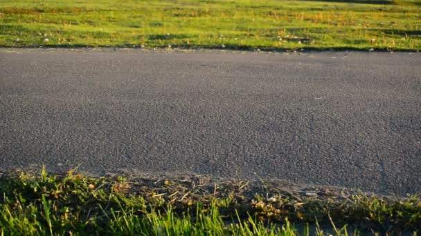 Les Vélos Roulent Long Une Route Asphaltée Soir Été Deux — Video