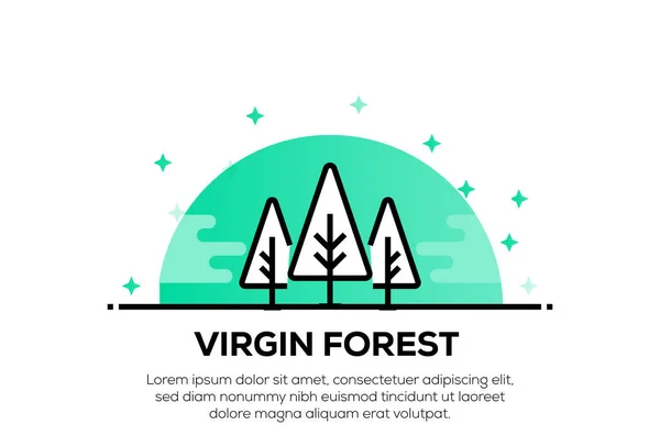 VIRGIN FOREST ICON CONCEPT