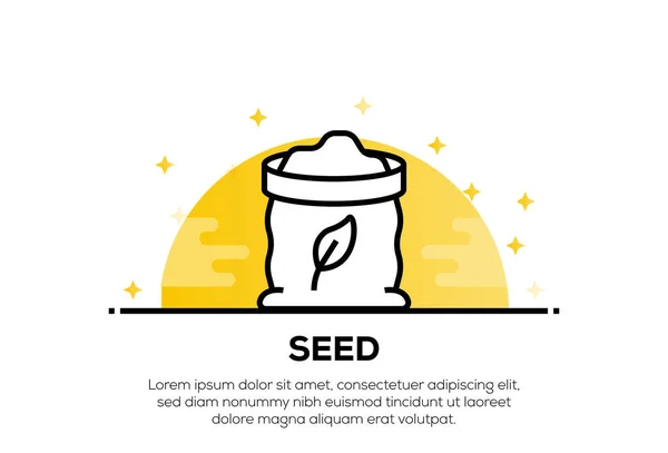 SEED ICON CONCEPT, illustration