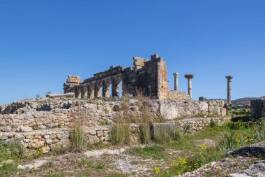 Fas Afrika 'daki antik şehir Volubilis