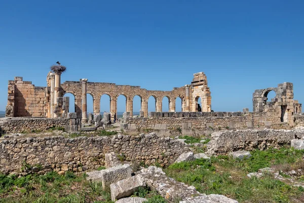 Fas Afrika 'daki antik şehir Volubilis