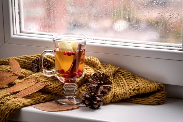 Tasse Heißer Herbsttee Mit Apfelbeeren Und Zimt Fenster Gelber Schal — Stockfoto