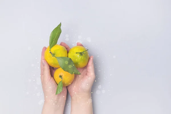 Female Hands Holding Tangerines Blue Background Ripe Fruits Citrus Christmas Food Concept Toned Above