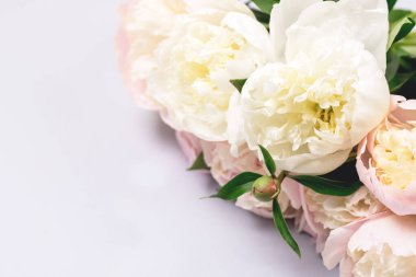 Sersemletici Beyaz ve Pembe Şakayıklar Mavi Arkaplanda Çiçek Arkaplan Kartı Anneler Günü veya Başkaları için Tatillerde Boşluk Kopyala