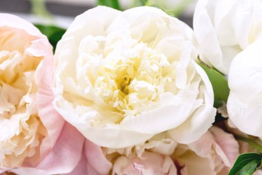 Sersemletici Beyaz ve Pembe Şakayıklar Yaz Çiçeği Anneler Günü ya da Başkaları Tatilleri Yatay Kapalı