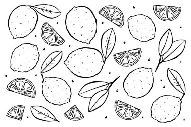 Beyaz arka planda izole edilmiş taze limon çizimi. Doodle tarzı.
