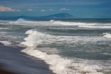 Halaktyr plaj. Kamçatka. Rusya Federasyonu. Karanlık neredeyse siyah renkli kum beach Pasifik Okyanusu. Taş dağları ve sarı çim bir arka plan üzerinde vardır. Hafif mavi gökyüzü