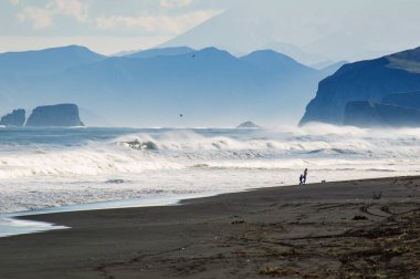 Halaktyr plaj. Kamçatka. Rusya Federasyonu. Karanlık neredeyse siyah renkli kum beach Pasifik Okyanusu. Taş dağları ve sarı çim bir arka plan üzerinde vardır. Hafif mavi gökyüzü