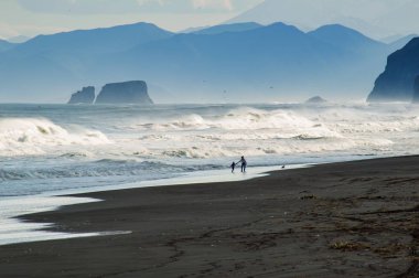 Halaktyr plaj. Kamçatka. Rusya Federasyonu. Karanlık neredeyse siyah renkli kum beach Pasifik Okyanusu. Taş dağları ve sarı çim bir arka plan üzerinde vardır. Hafif mavi gökyüzü