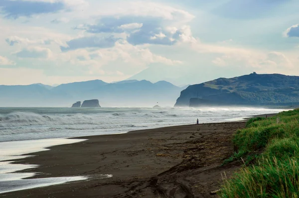 Halaktyr plaj. Kamçatka. Rusya Federasyonu. Karanlık neredeyse siyah renkli kum beach Pasifik Okyanusu. Taş dağları ve sarı çim bir arka plan üzerinde vardır. Hafif mavi gökyüzü