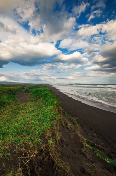 Halaktyr plaży. Kamczatka. Federacja Rosyjska. Ciemny, prawie czarny kolor piasek plaży Oceanu Spokojnego. Góry kamienne i żółty trawy są na tle. Światło niebieskie niebo — Zdjęcie stockowe