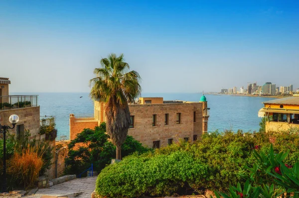 Tel Aviv, İsrail, Arap tarzı eski Jaffa antik taş sokakları