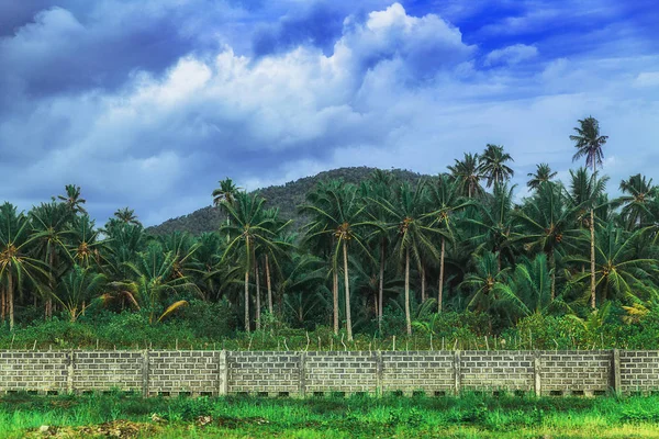 Vista de la montaña con palmeras en la isla de Siargao, Filipinas . — Foto de Stock