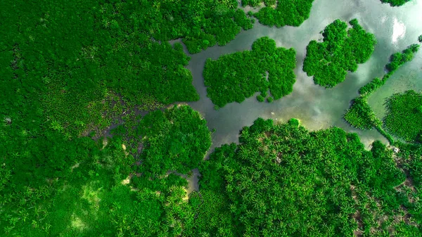 Vista aérea del bosque de manglares y el río en la isla de Siargao. Filipinas — Foto de Stock