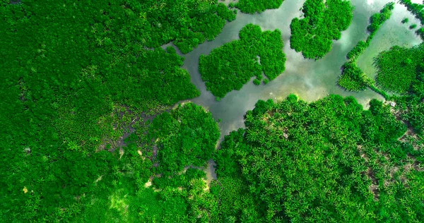 Vista aérea del bosque de manglares y el río en la isla de Siargao. Filipinas —  Fotos de Stock