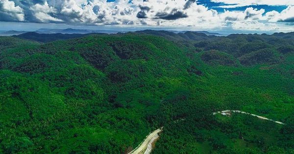 Vista Aérea Del Bosque Palmeras Carretera Montaña Isla Siargao Filipinas — Foto de Stock