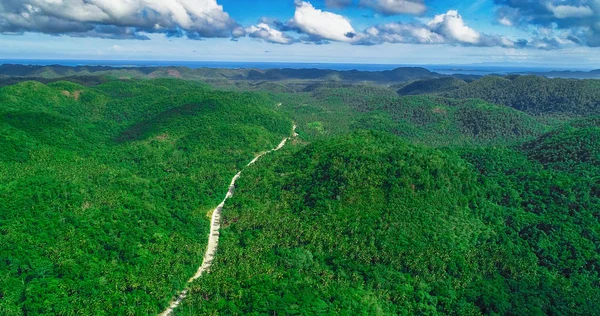 Flygfoto Över Palms Skog Väg Och Bergen Siargao Filippinerna — Stockfoto