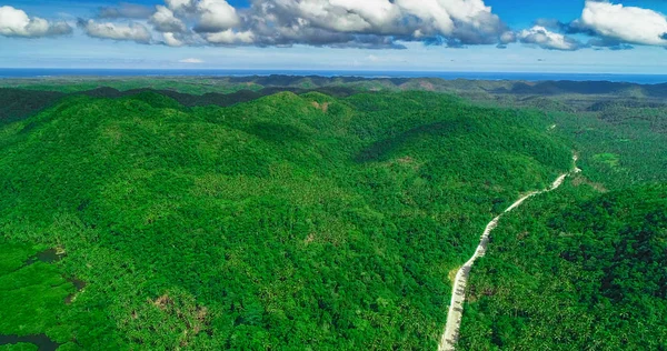 Vista Aérea Del Bosque Palmeras Carretera Montaña Isla Siargao Filipinas —  Fotos de Stock