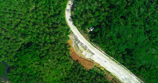 Avuç Içi Orman Yol Dağ Siargao Adası Üzerinde Hava Görünümünü — Stok fotoğraf