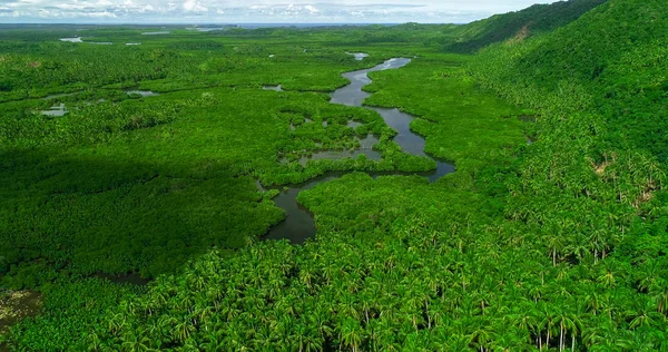 Vista Aérea Del Bosque Manglares Río Isla Siargao Filipinas —  Fotos de Stock