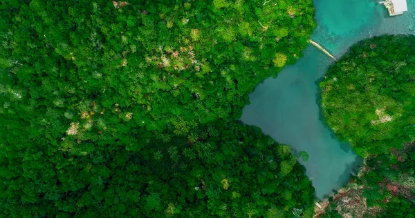 Вид Воздуха Залив Сугба Ландшафт Лагуной Голубого Моря Национальный Парк — стоковое фото