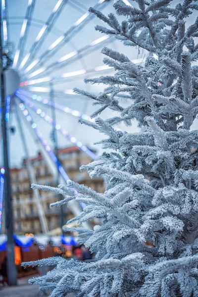 Штучний Сніг накривав ялинку в місті Марсель. Відділення ялина, покриті снігом, крупним планом. гострий морозів. казкові світло і барвисті зображення. — стокове фото