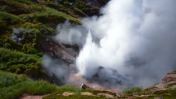 Valle de los Géiseres. Temporada turística en la península de Kamchatka. Reserva Natural de Kronotsky — Vídeos de Stock