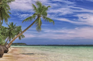 Güzel bir plaj. Güzel tropikal plaj avuç görünümünü. Tatil ve tatil kavramı. Tropikal beachat Filipinler deniz kenarı Siargao Adası
