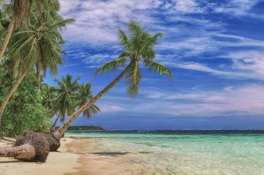 Güzel bir plaj. Güzel tropikal plaj avuç görünümünü. Tatil ve tatil kavramı. Tropikal beachat Filipinler deniz kenarı Siargao Adası