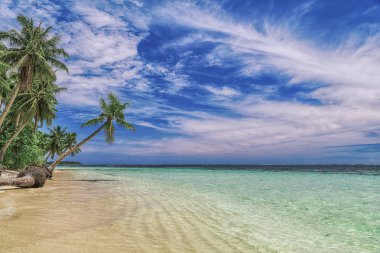 Güzel bir plaj. Güzel tropikal plaj avuç görünümünü. Tatil ve tatil kavramı. Tropikal beachat Filipinler deniz kenarı Siargao Adası