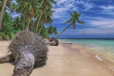 Güzel bir plaj. Güzel tropikal plaj avuç görünümünü. Tatil ve tatil kavramı. Tropikal beachat Filipinler deniz kenarı Siargao Adası