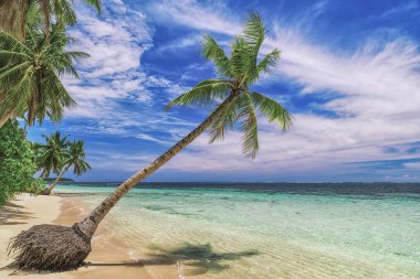 Güzel bir plaj. Güzel tropikal plaj avuç görünümünü. Tatil ve tatil kavramı. Tropikal beachat Filipinler deniz kenarı Siargao Adası
