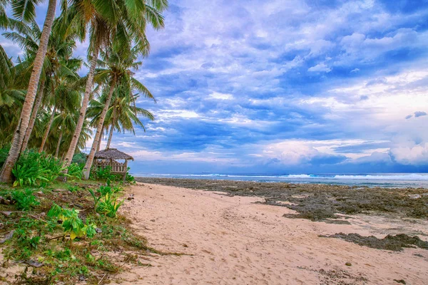 Bela praia. Vista da praia tropical agradável com palmas ao redor. Conceito de férias e férias. Praia tropical Filipinas na ilha costeira Siargao — Fotografia de Stock