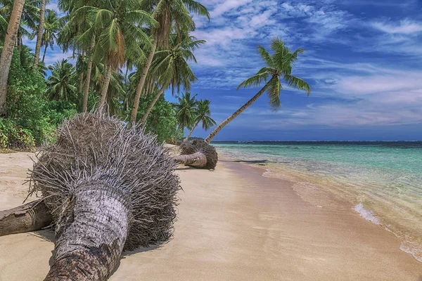 Gyönyörű tengerpart. Nézd a szép trópusi tengerpart pálmák körül. Üdülés és nyaralás koncepció. Trópusi beachat a parton Fülöp-szigetek Siargao sziget — Stock Fotó