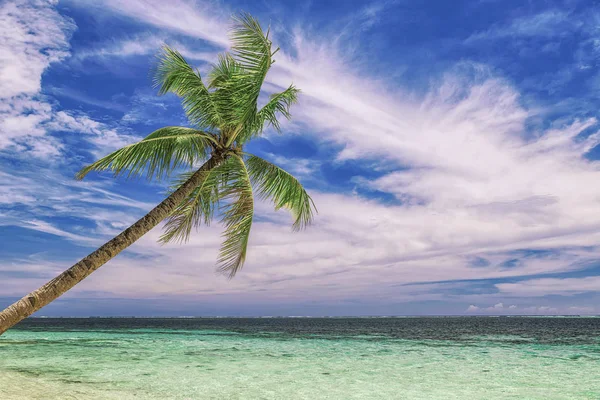 Hermosa playa. Vista de la bonita playa tropical con palmeras alrededor. Concepto vacaciones y vacaciones. Playa tropical de Filipinas en la isla costera de Siargao —  Fotos de Stock