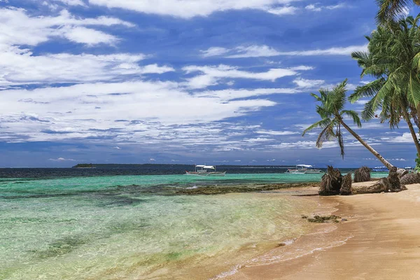 Bela praia. Vista da praia tropical agradável com palmas ao redor. Conceito de férias e férias. Praia tropical Filipinas na ilha costeira Siargao — Fotografia de Stock