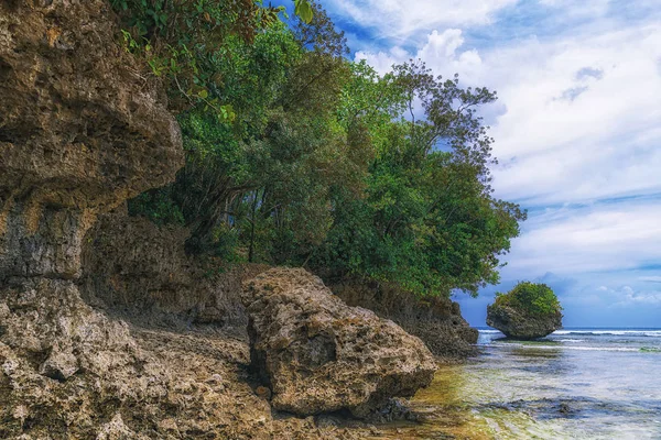 Όμορφο νησί. Άποψη του ωραία τροπική παραλία με φοίνικες και πέτρες γύρω από. Διακοπές και διακοπές έννοια. Τροπική και άγρια παραλία στις Φιλιππίνες στην ακτή νησί Siargao — Φωτογραφία Αρχείου