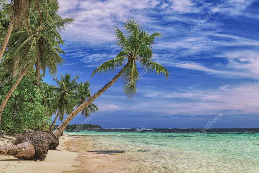 Beautiful beach. View of nice tropical beach with palms around. Holiday and vacation concept. Tropical beachat Philippines on the coast island Siargao