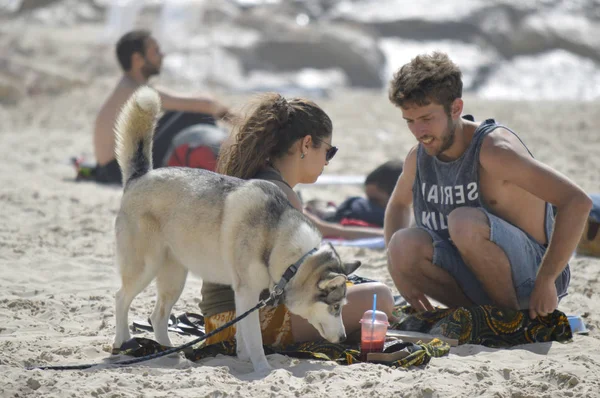 Tel Aviv, Israel - 23 de abril de 2017: Familia feliz con perro husky en la playa Gordon — Foto de Stock