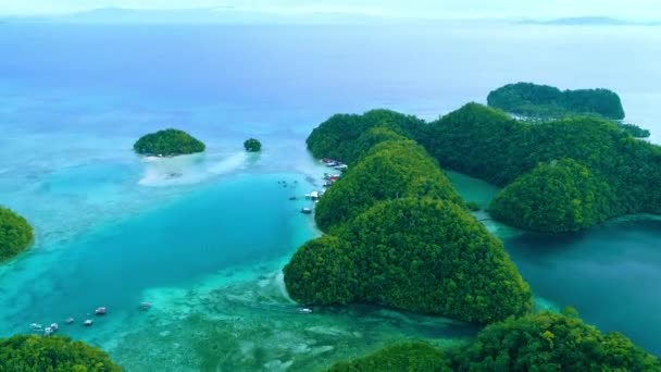 Paysage Tropical Collines Forêt Tropicale Eau Azur Dans Lagune Avec — Video