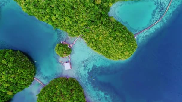 フィリピン シアガオ島の雲とラグーンの熱帯雨林の丘とアズール水 ドローン航空ビュー 4Kl — ストック動画