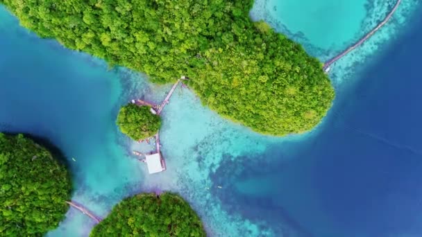 フィリピン シアガオ島の雲とラグーンの熱帯雨林の丘とアズール水 ドローン航空ビュー 4Kl — ストック動画