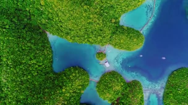 Paysage Tropical Collines Forêt Tropicale Eau Azur Dans Lagune Avec — Video